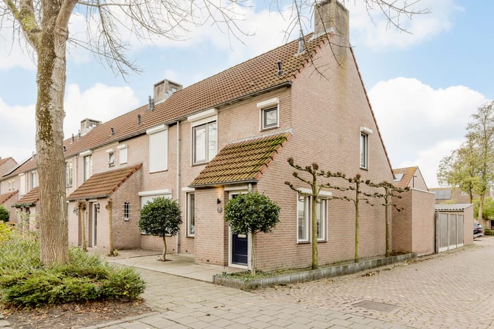 Zaaren 156 in Rijen foto