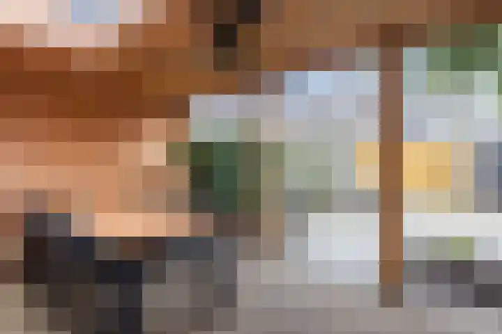 Zaaren 191 Rijen thumbnail 14