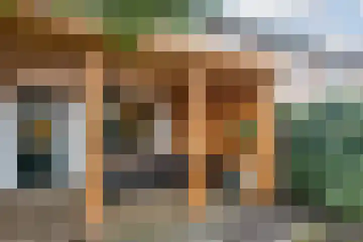 Zaaren 191 Rijen thumbnail 16