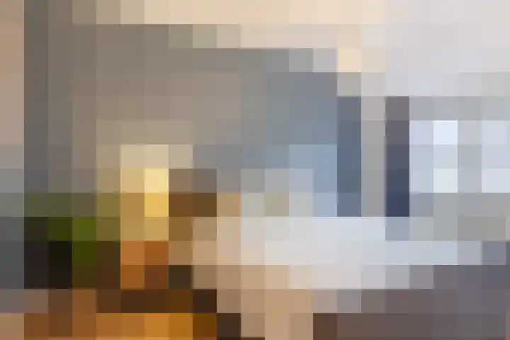 Zaaren 191 Rijen thumbnail 20
