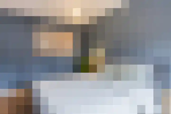 Zaaren 191 Rijen thumbnail 21