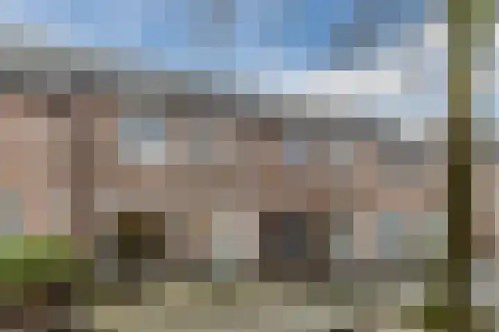Zaaren 191 Rijen thumbnail 30