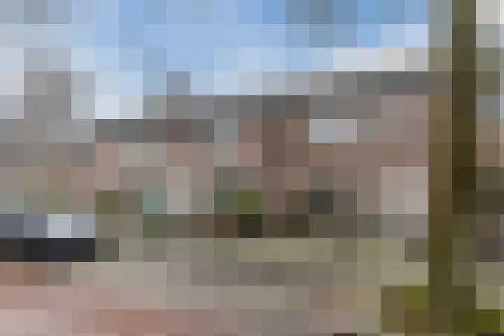 Zaaren 191 Rijen thumbnail 31