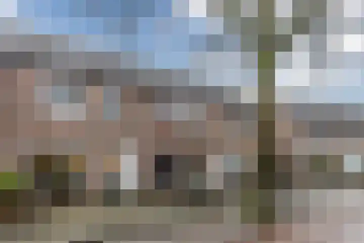 Zaaren 191 Rijen thumbnail 32