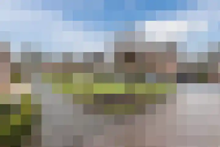 Zaaren 191 Rijen thumbnail 35