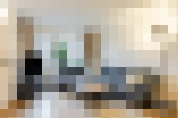 Zaaren 191 Rijen thumbnail 8