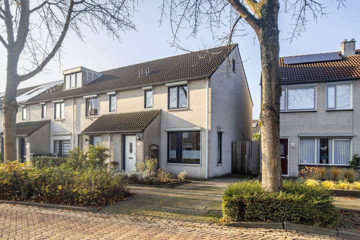 Zaaren 218 in Rijen foto