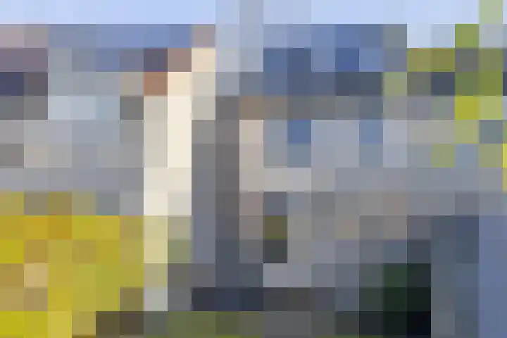 Zaaren 218 Rijen thumbnail 11