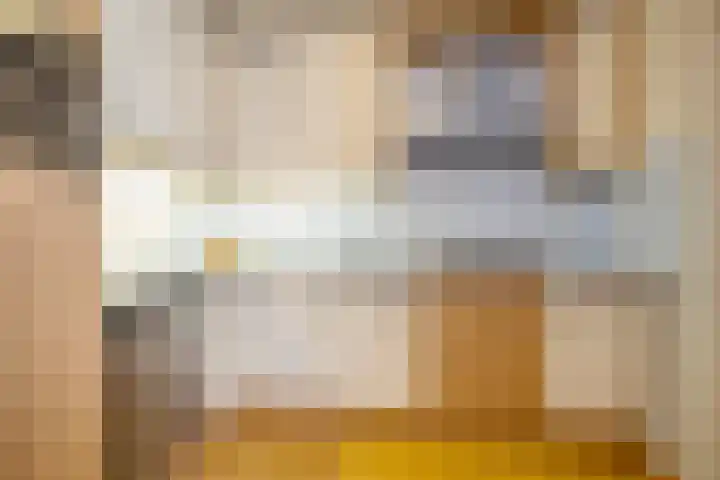 Zaaren 218 Rijen thumbnail 24
