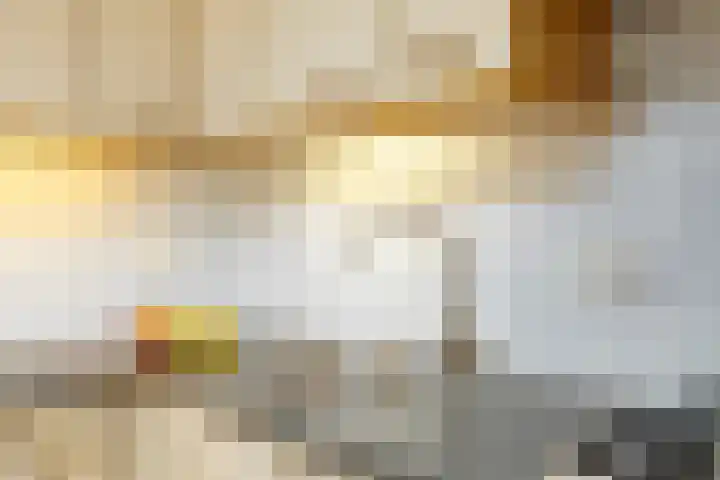 Zaaren 218 Rijen thumbnail 26