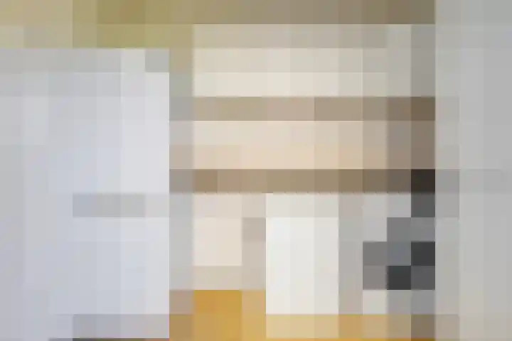 Zaaren 218 Rijen thumbnail 27