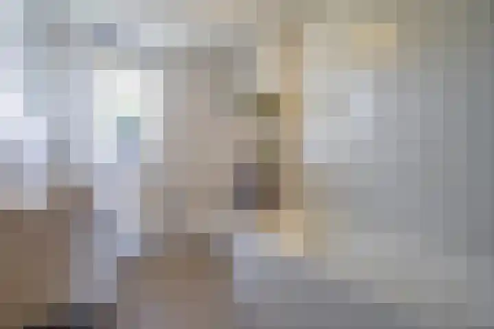 Zaaren 218 Rijen thumbnail 32