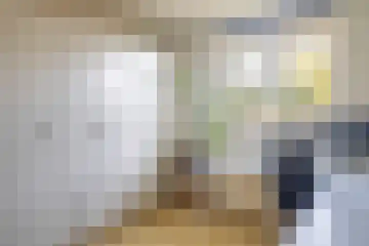 Zaaren 218 Rijen thumbnail 37