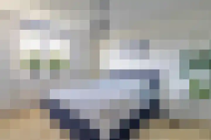 Zaaren 218 Rijen thumbnail 40