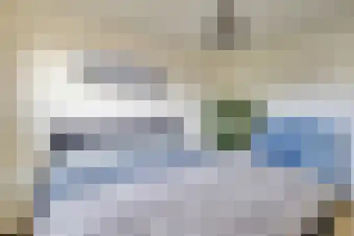 Zaaren 218 Rijen thumbnail 41