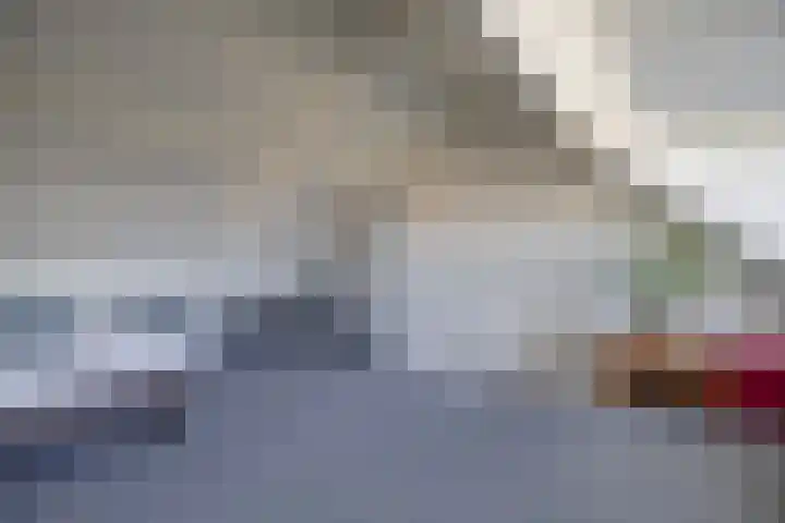Zaaren 218 Rijen thumbnail 50