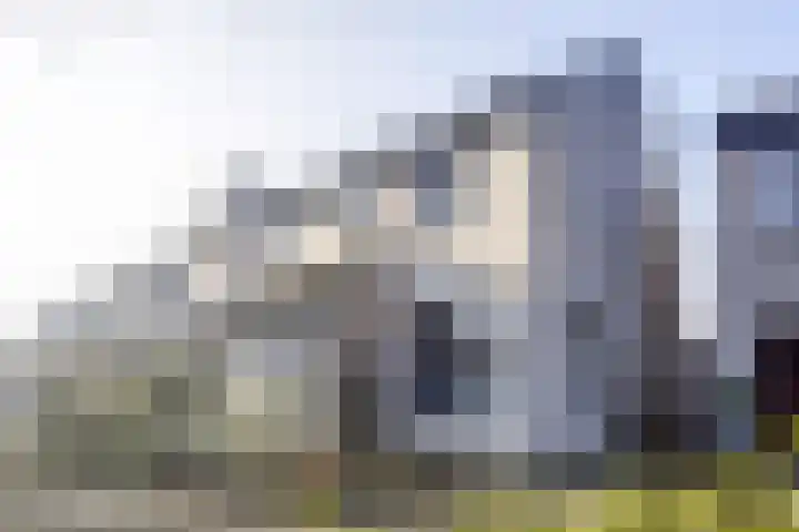 Zaaren 218 Rijen thumbnail 7
