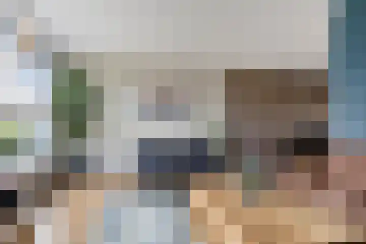 Zachte Dravik 25 Meppel thumbnail 11