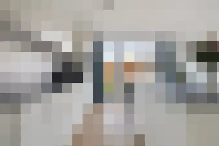 Zachte Dravik 25 Meppel thumbnail 15