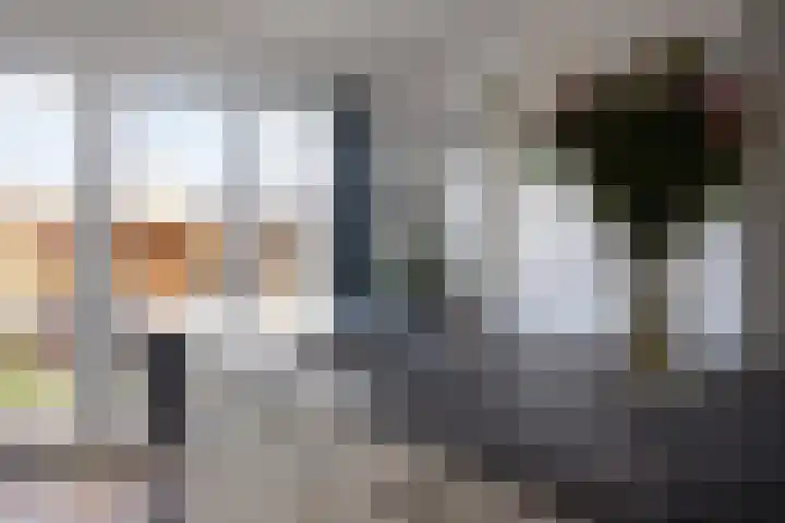 Zachte Dravik 25 Meppel thumbnail 16