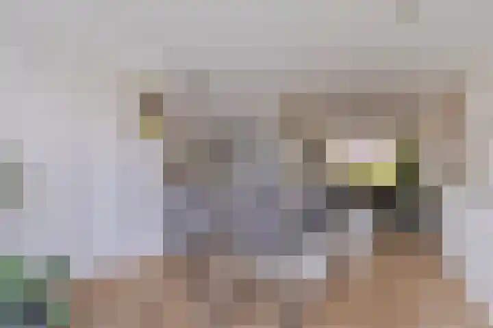 Zachte Dravik 25 Meppel thumbnail 17
