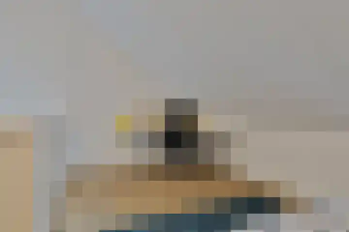 Zachte Dravik 25 Meppel thumbnail 32