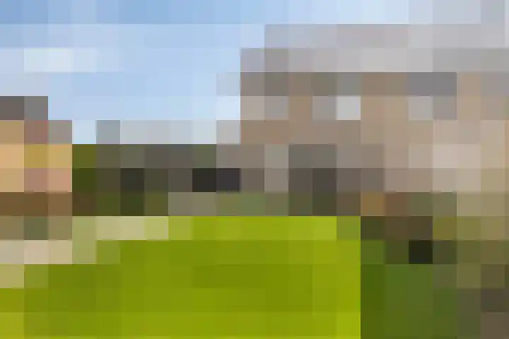 Zachte Dravik 25 Meppel thumbnail 36