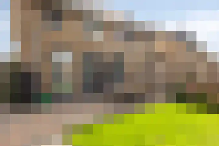 Zachte Dravik 25 Meppel thumbnail 37