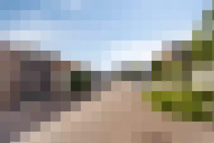 Zachte Dravik 25 Meppel thumbnail 40