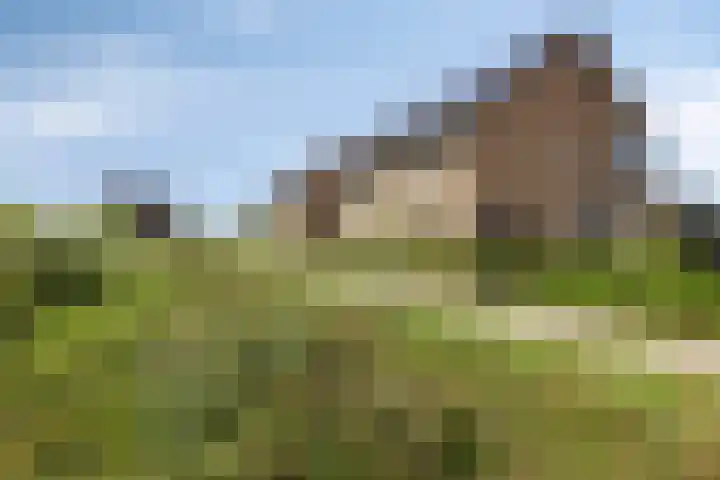 Zachte Dravik 25 Meppel thumbnail 42
