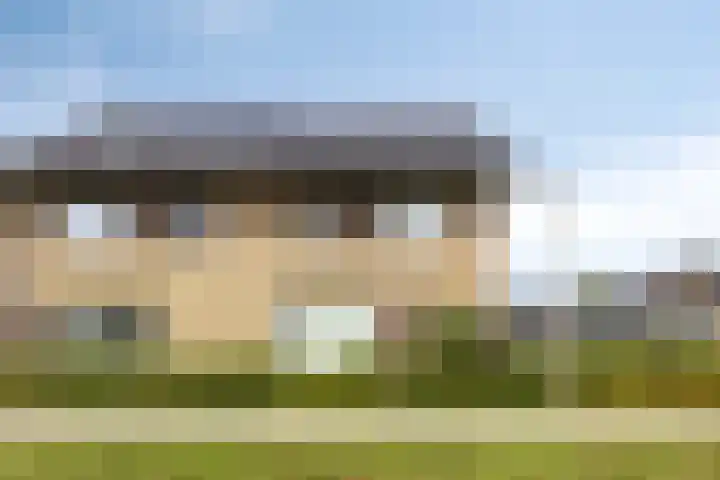 Zachte Dravik 25 Meppel thumbnail 43