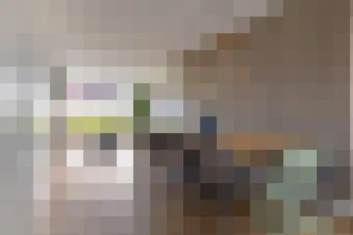 Zachte Dravik 25 Meppel thumbnail 9