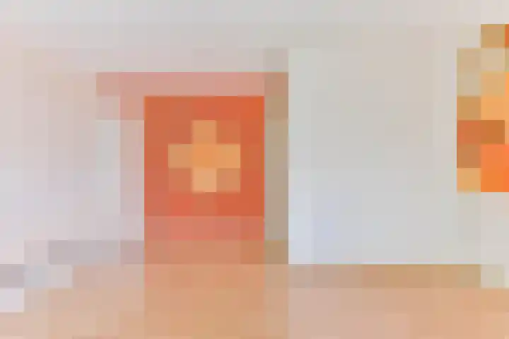 Zadel 11 Leusden thumbnail 14