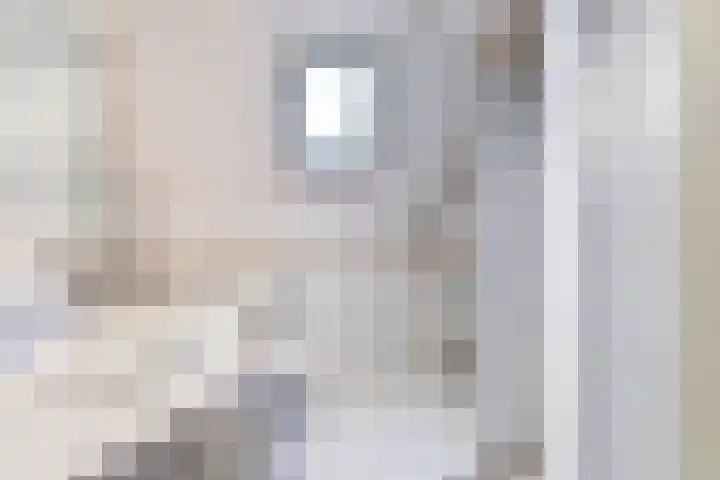 Zadel 11 Leusden thumbnail 16