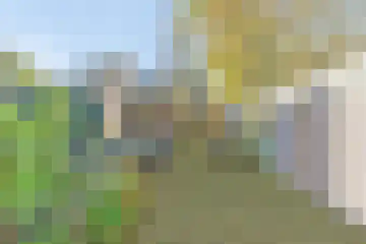 Zadel 11 Leusden thumbnail 27