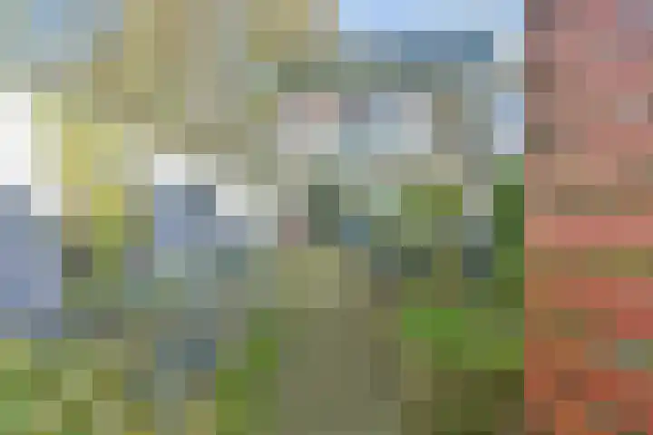 Zadel 11 Leusden thumbnail 29