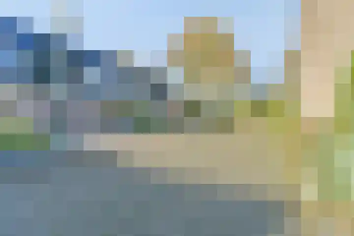 Zadel 11 Leusden thumbnail 30