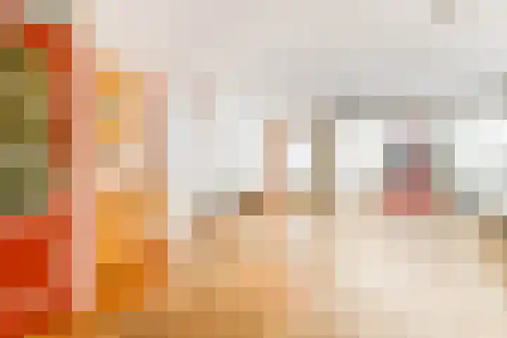 Zadel 11 Leusden thumbnail 4