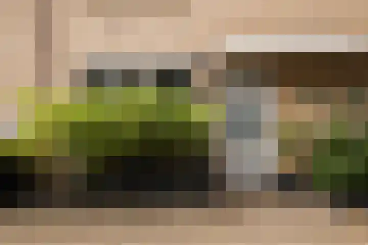 Zadelmaker 11 IJsselstein thumbnail 10