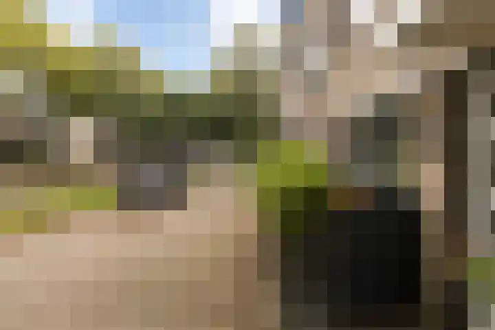 Zadelmaker 11 IJsselstein thumbnail 11