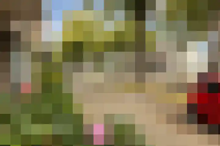 Zadelmaker 11 IJsselstein thumbnail 12