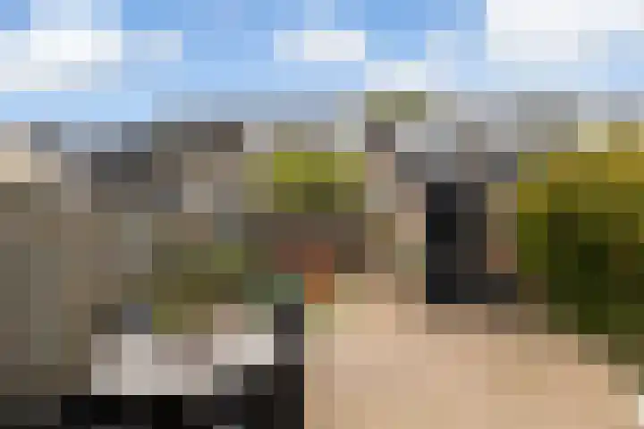 Zadelmaker 11 IJsselstein thumbnail 22