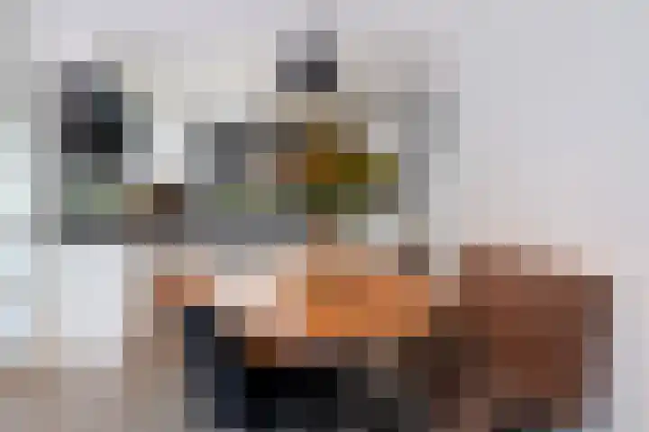 Zadelmaker 11 IJsselstein thumbnail 31