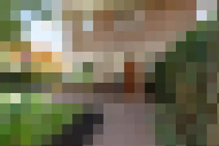 Zadelmaker 11 IJsselstein thumbnail 47