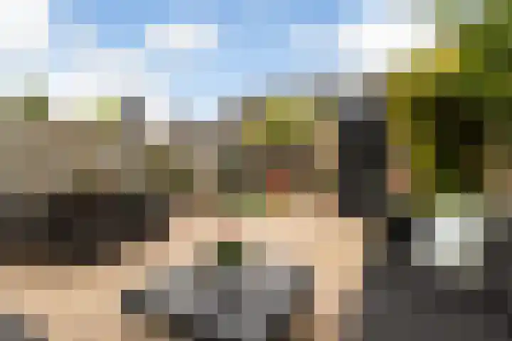 Zadelmaker 11 IJsselstein thumbnail 5