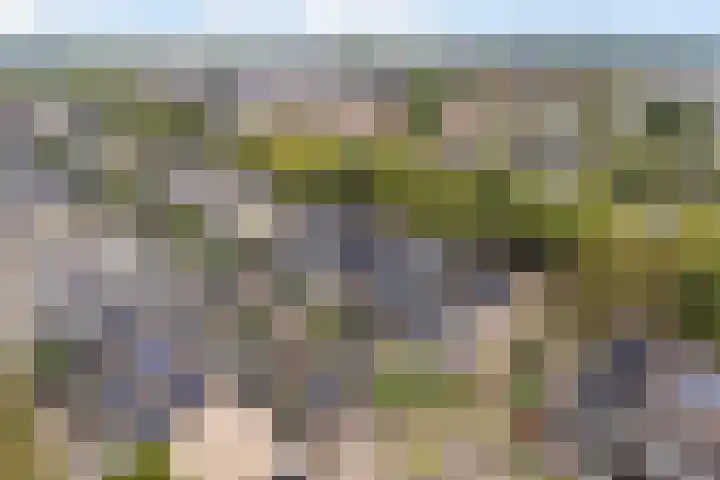 Zadelmaker 11 IJsselstein thumbnail 50