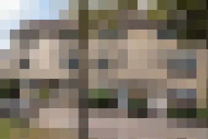 Zadelmaker 11 IJsselstein thumbnail 52