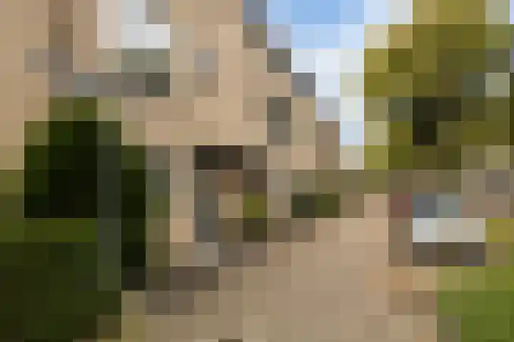 Zadelmaker 11 IJsselstein thumbnail 8