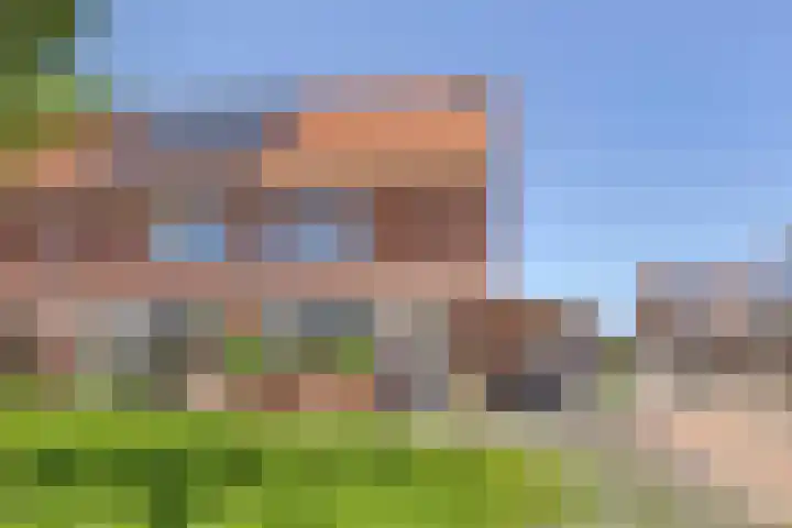 Zadelmaker 57 Oldenzaal thumbnail 31