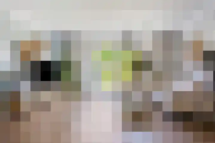 Zadelmaker 57 Oldenzaal thumbnail 7